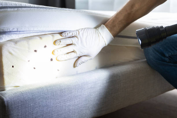 Pest Prevention Services in Hyattsville, MD