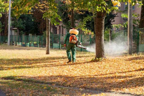 Wasp Removal Services in Hyattsville, MD