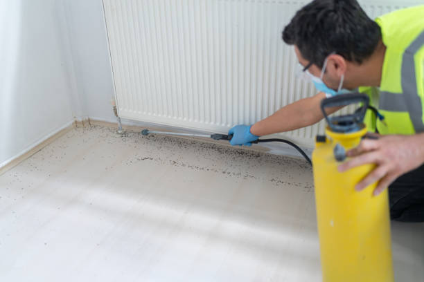 Best Exterminator Services  in Hyattsville, MD